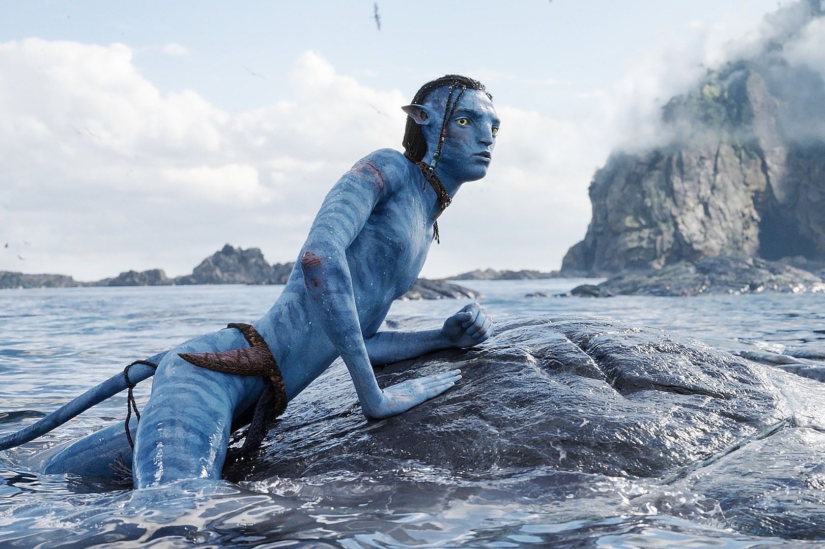 Wallpaper Avatar blue skin James Camerons movie 1920x1440 HD Picture  Image